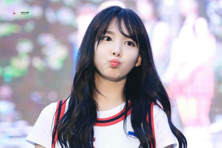 트와이스 팬들의 최대 난제.......jpgif | 인스티즈