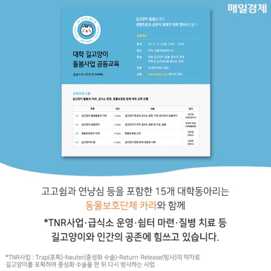 캠퍼스 고양이의 따뜻한 겨울나기 | 인스티즈