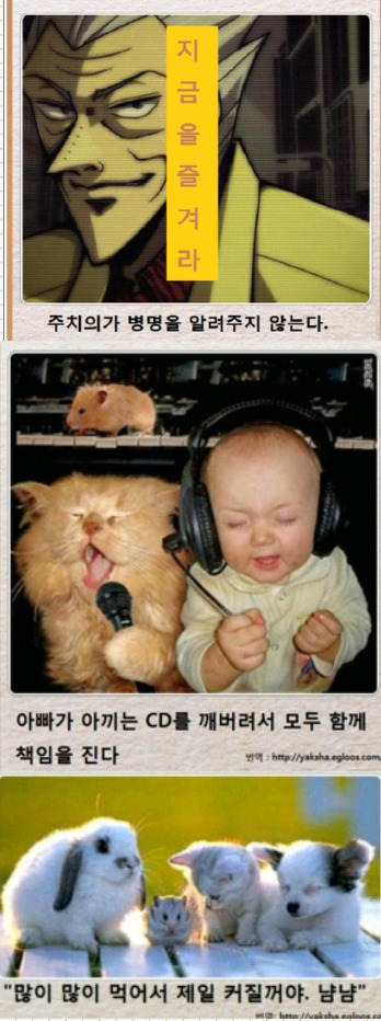 제목학원 레전드 모음 (귀여운것들 섞여잇음) | 인스티즈