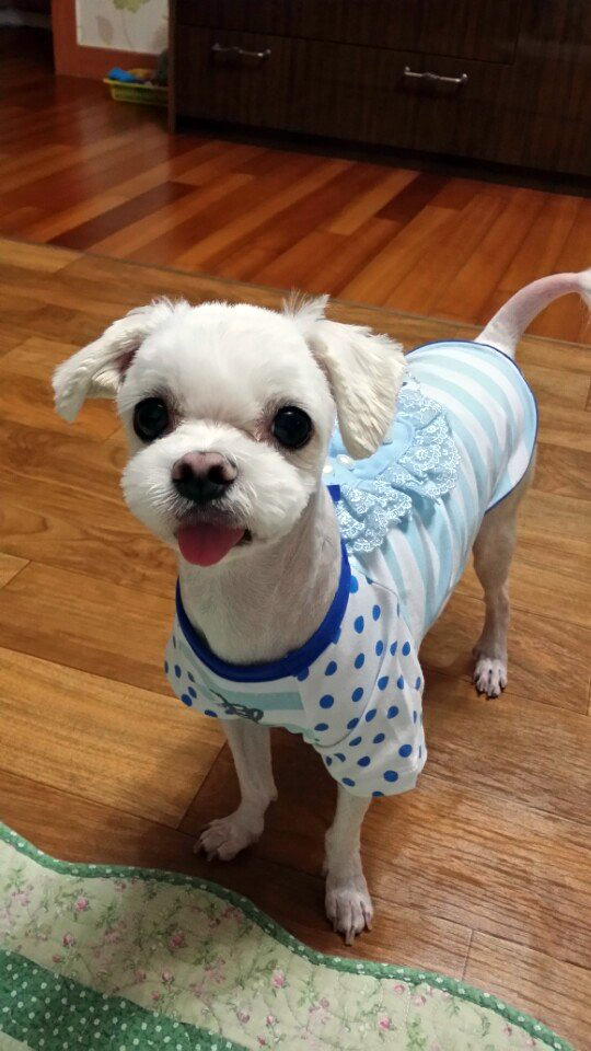 웅녀 이미지
