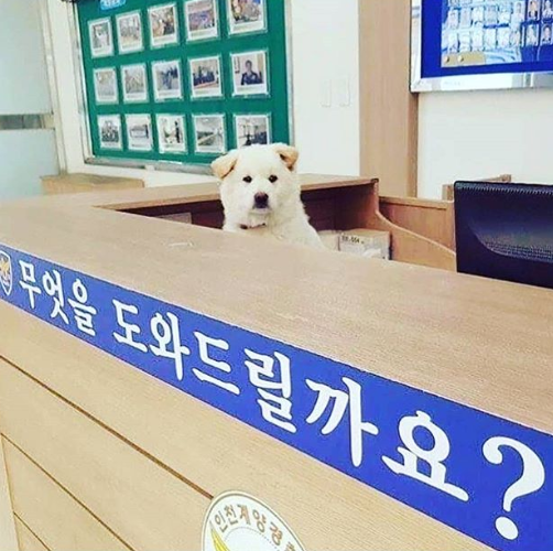 헬프유 이미지
