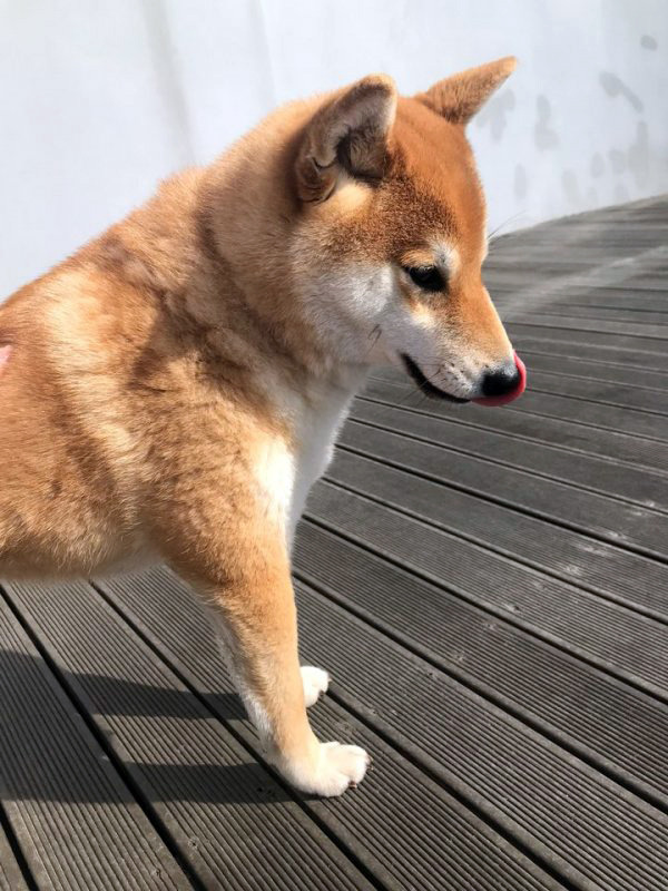 예지유치원 이미지