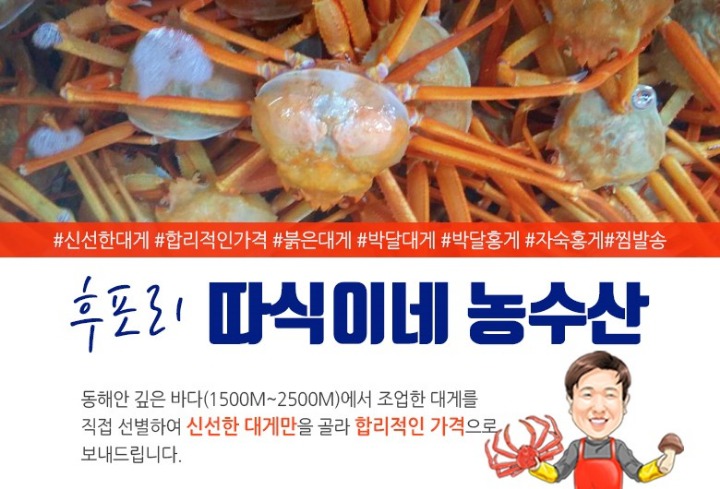 따식이네 이미지