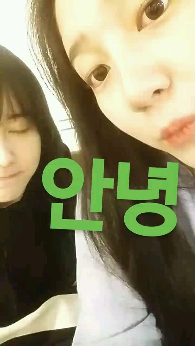 김다니 | 인스티즈