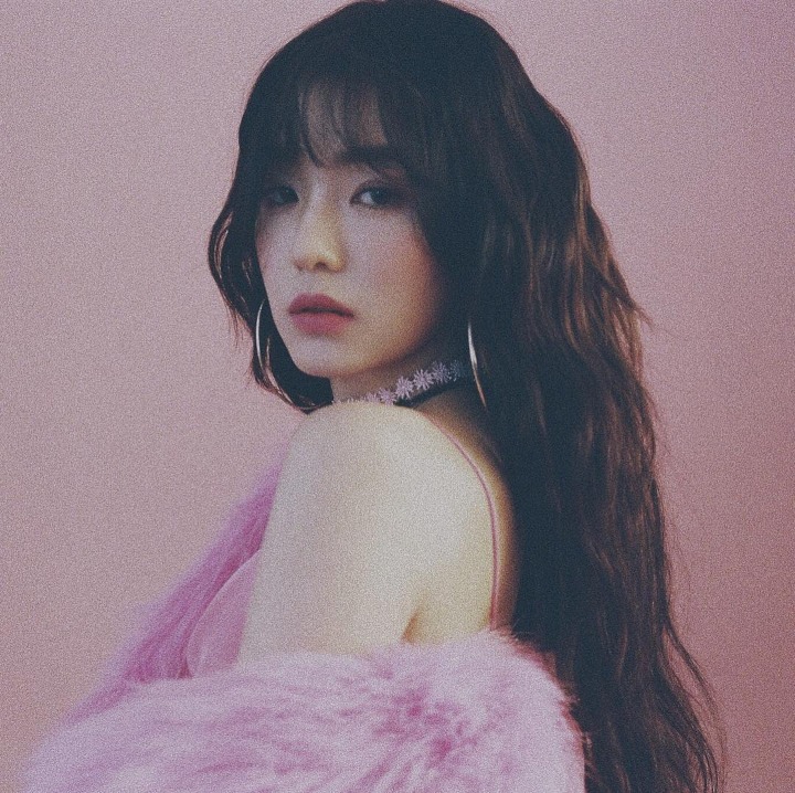 레드벨벳 꽃리더.jpgif | 인스티즈