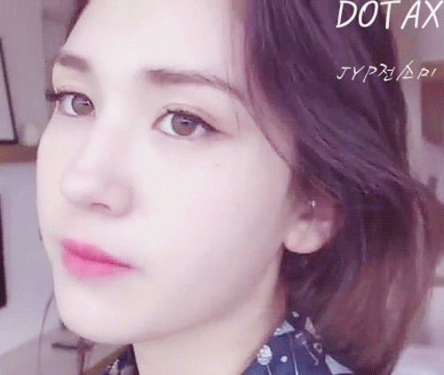 뱀이 나무 타는 법.GIF | 인스티즈