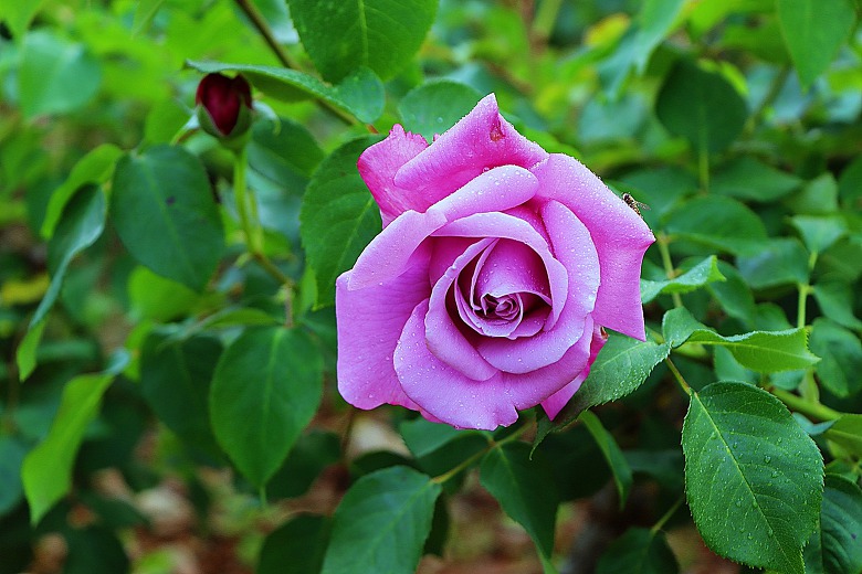 BY연주 이미지
