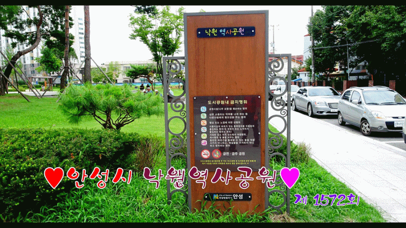 소설가의 낙원 이미지