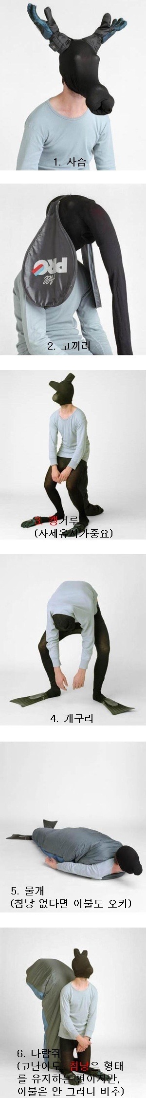 동물 코스프레 하는 방법 | 인스티즈