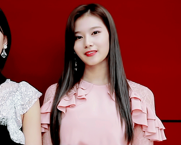 시바견인가 다람쥐인가....... 사나 | 인스티즈