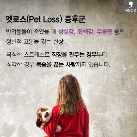 처음 반려동물 키우기 시작했을 때 너무 좋고 예뻐서 생각하지 못하는 것.jpg | 인스티즈