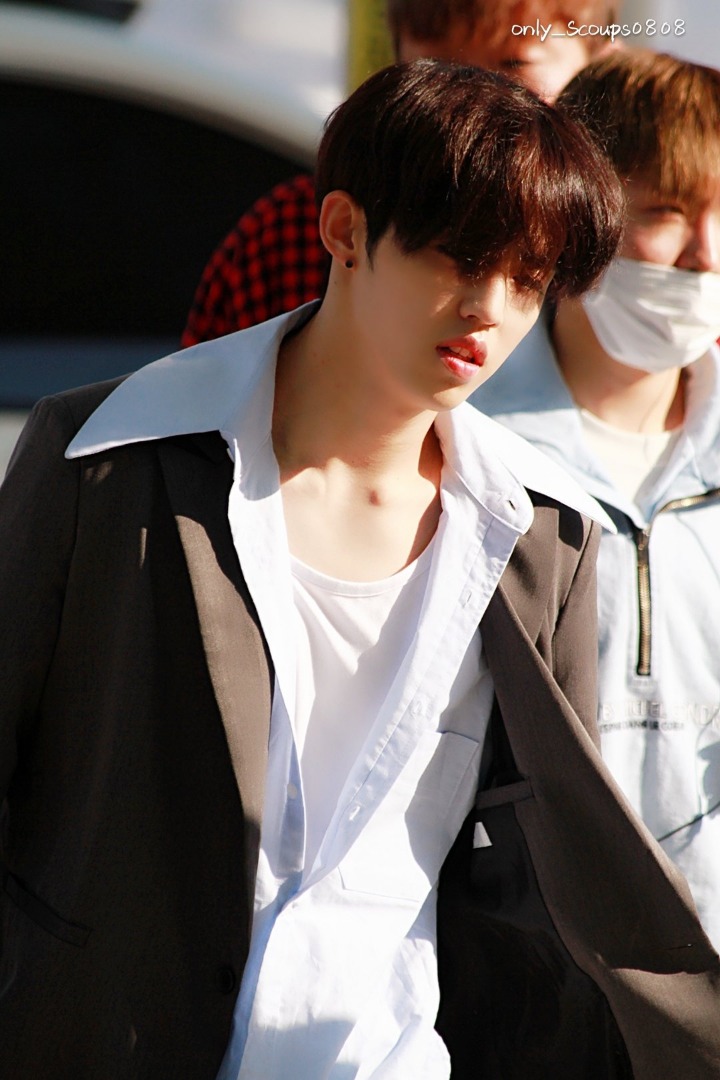 최스 이미지