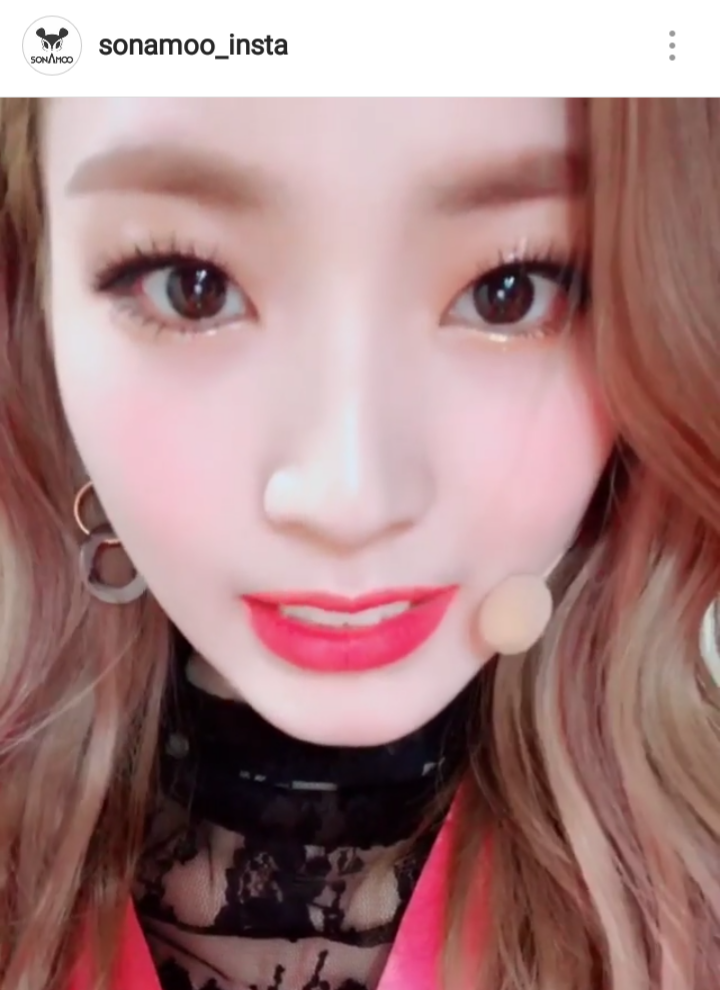 소나무 인스타 디애나현 | 인스티즈