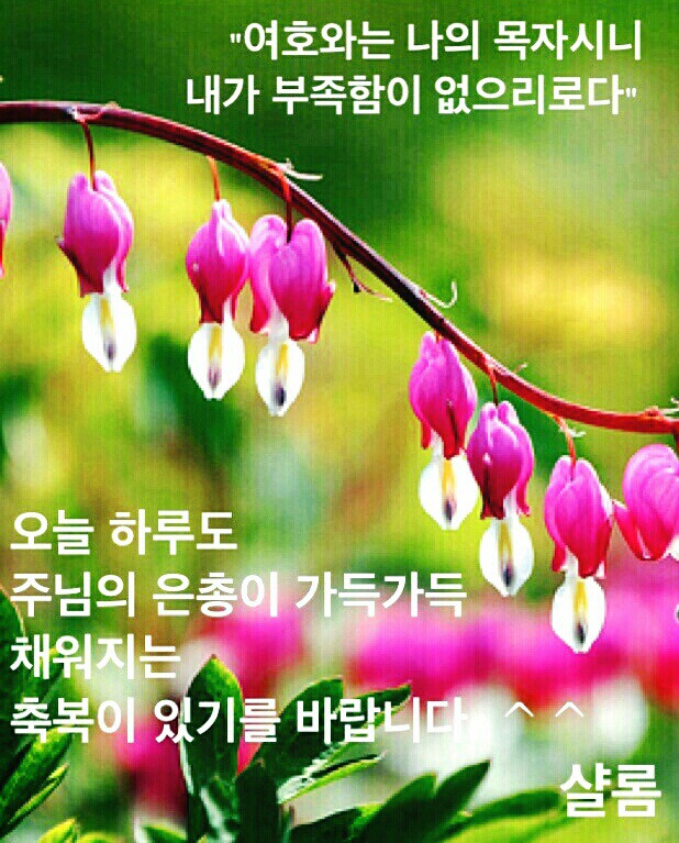 느낌!! 이미지