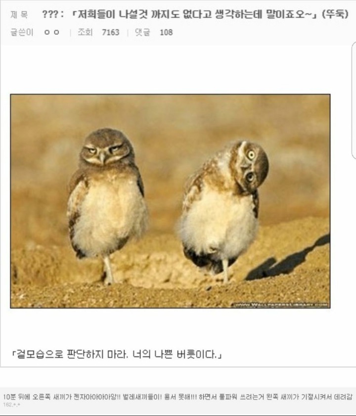흔한 애니메이션 클리셰 | 인스티즈