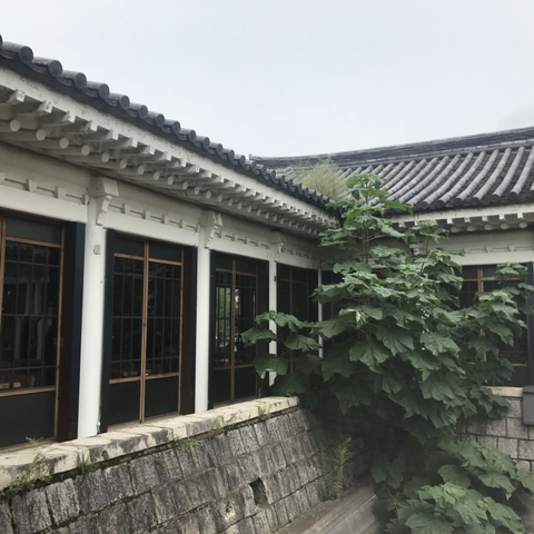 [질문글]자신이 가본 카페중 가장 좋았던곳 말해보자!(메뉴와 함께) - 막이슈 - 쭉빵카페 [질문글]자신이 가본 카페중 가장 좋았던곳 말해보자!... 