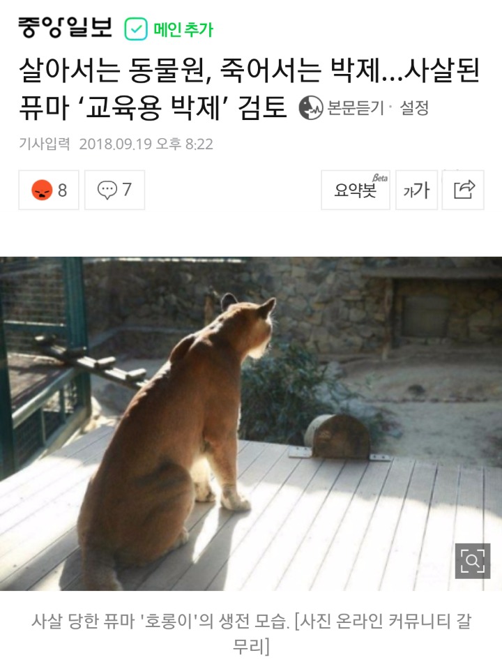 살아서는 동물원, 죽어서는 박제…사살된 퓨마 ‘교육용 박제’ 검토... 공간 살아서는 동물원, 죽어서는 박제…사살된 퓨마 ‘교육용 박제’ 검토